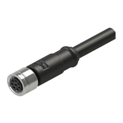 Conector M8 sobremoldeado para cable, sobremoldeado recto con tuerca metálica, conector M8 de 3 pines. Hembra.