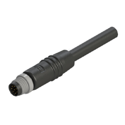 Enchufe M8, conector macho de 3 clavijas. Sobremoldeado recto.